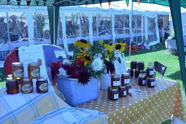 6. Allotment produce.jpg